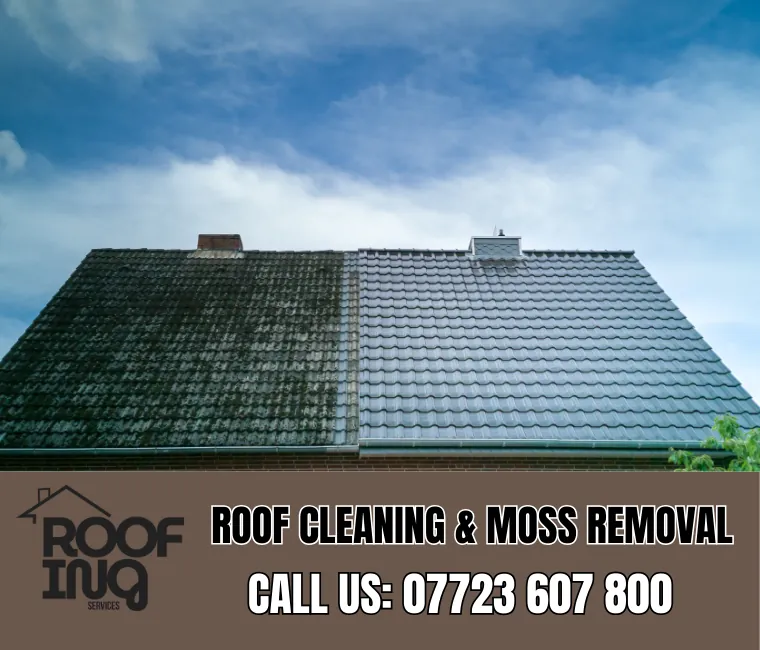 Roof Cleaning in Plymouth